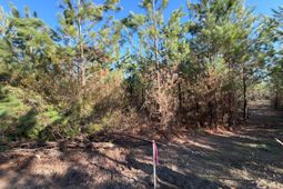 Bff II 6 Brunson Teal Rd Road photo 4