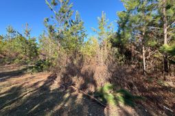 Bff II 6 Brunson Teal Rd Road photo 4