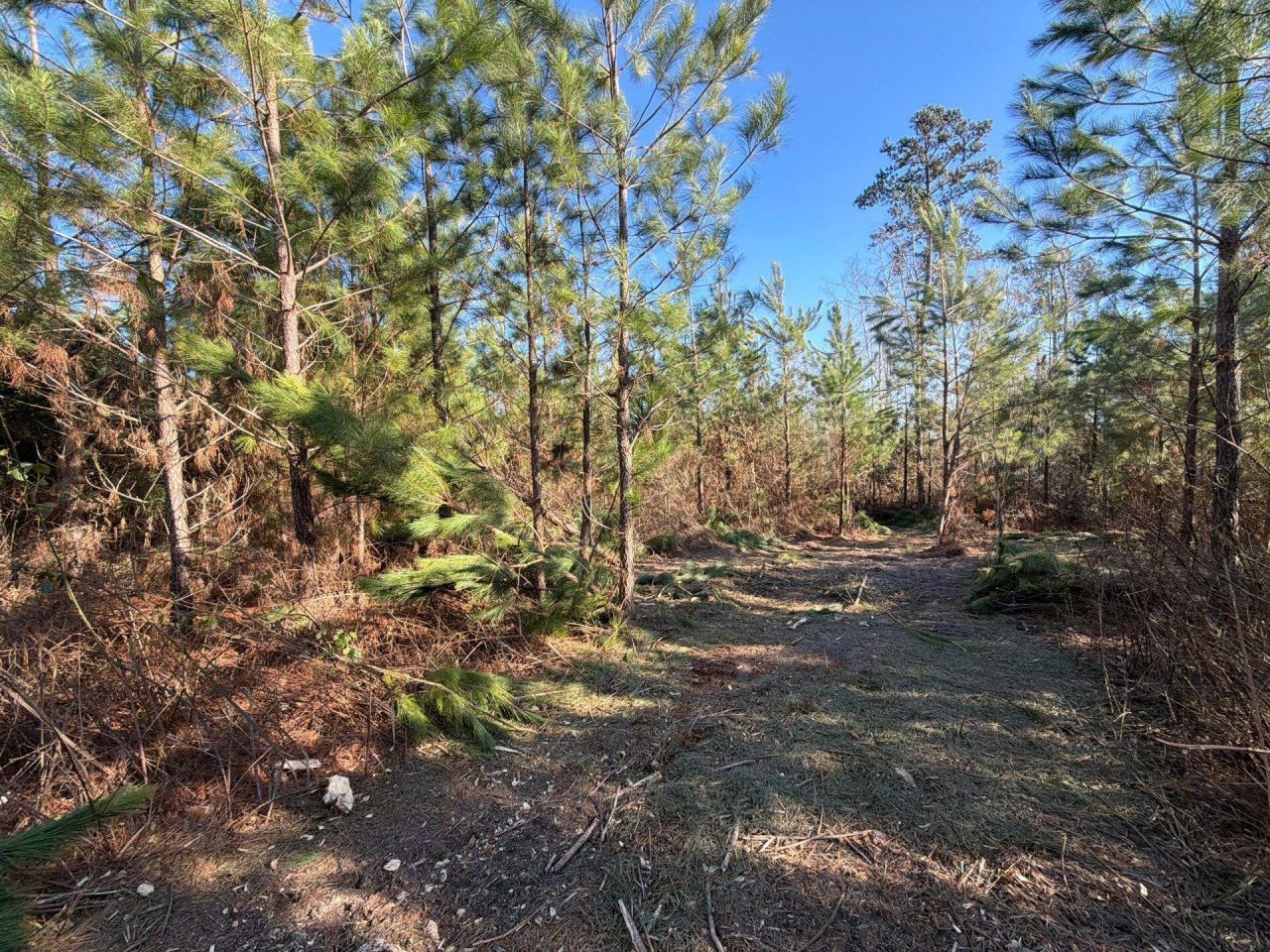 Bff II 6 Brunson Teal Rd Road Photo 5