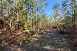 Bff II 6 Brunson Teal Rd Road photo 4