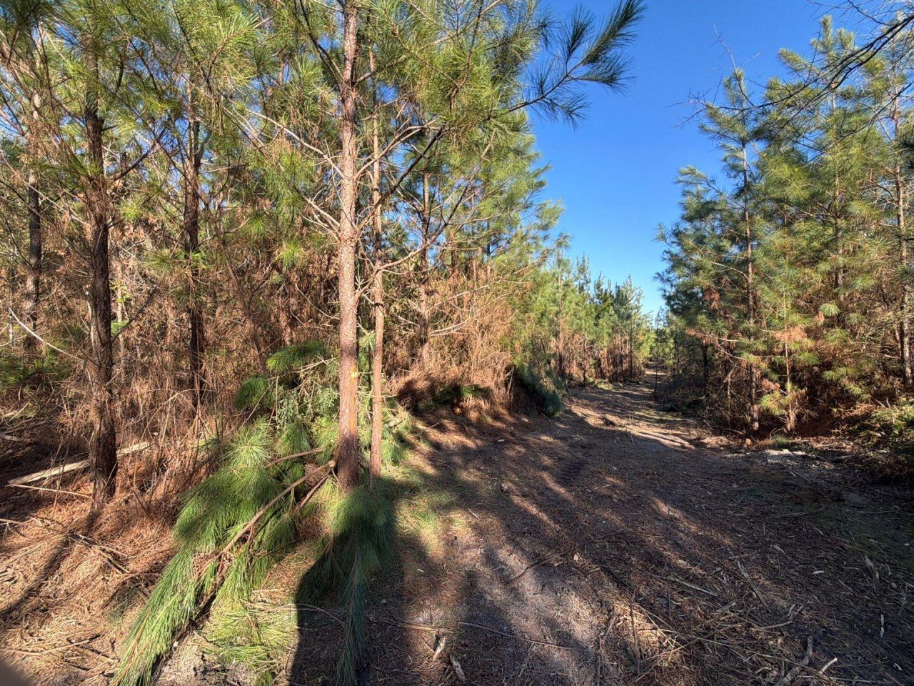 Bff II 6 Brunson Teal Rd Road Photo 6