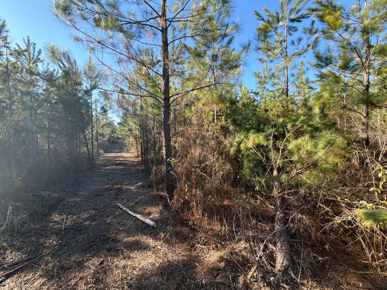 Bff II 6 Brunson Teal Rd Road Photo 7