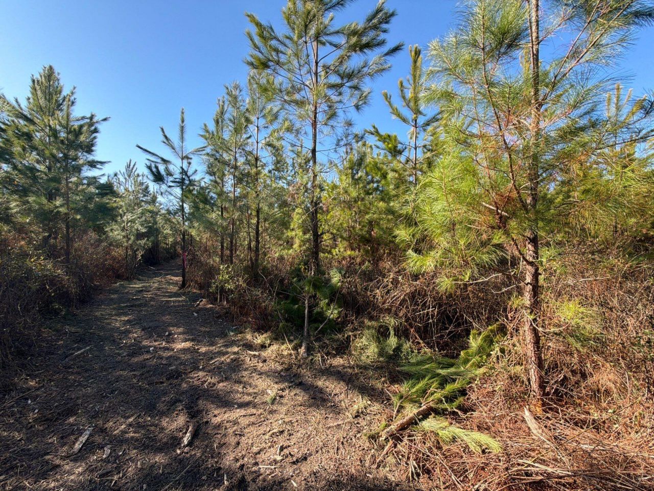 Bff II 6 Brunson Teal Rd Road Photo 9