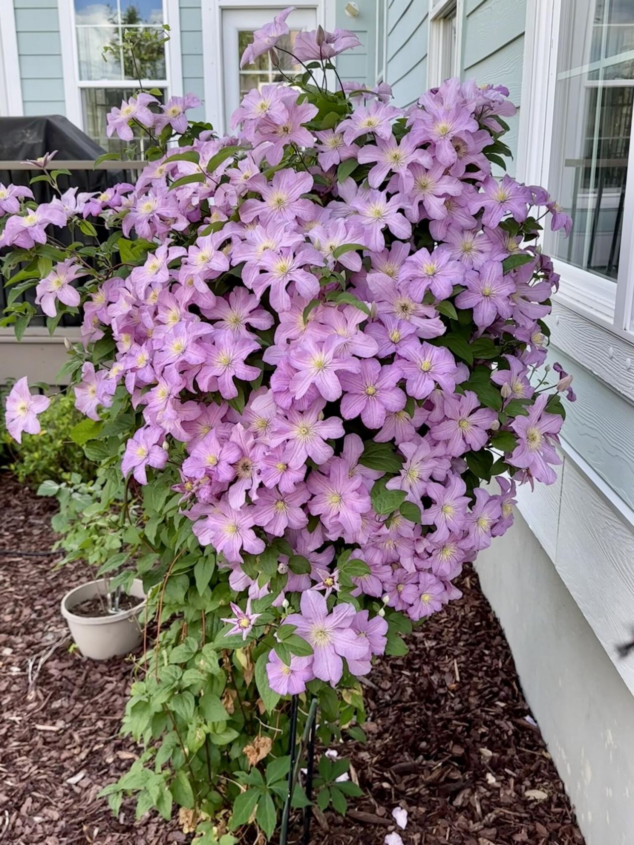 130 Berkshire Drive Photo 77