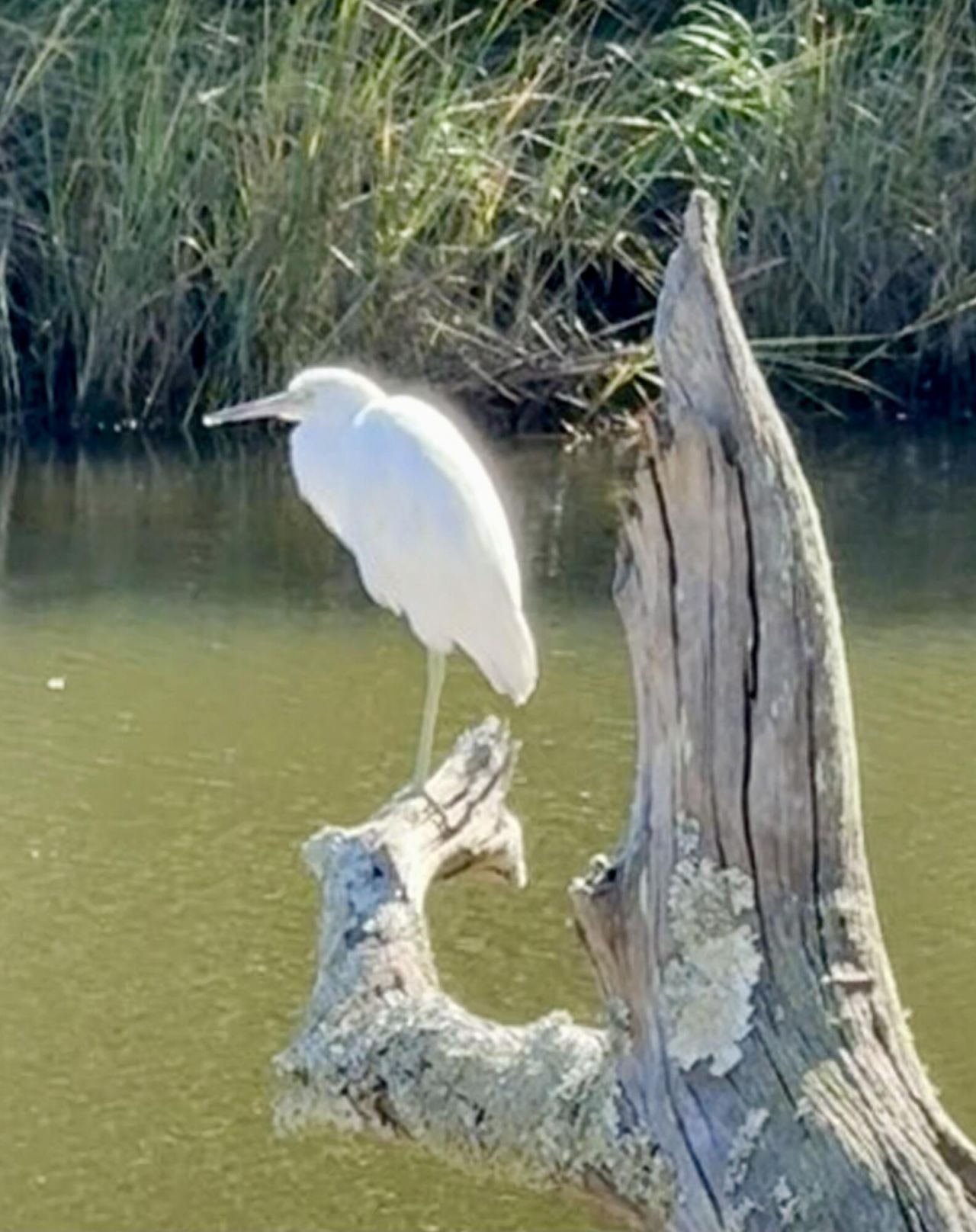 130 Berkshire Drive Photo 78