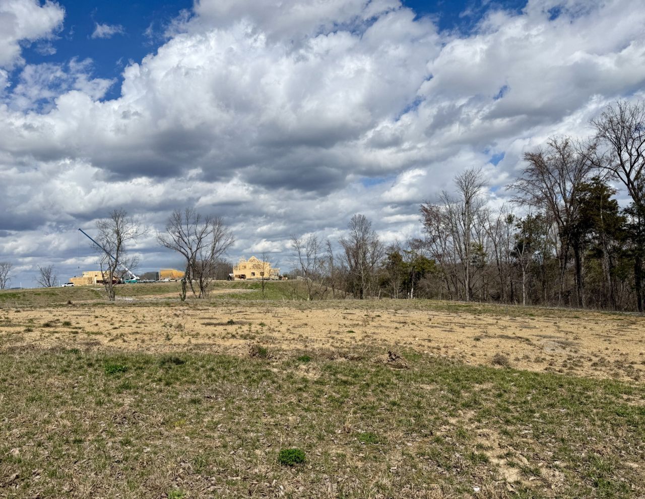 9905 Amarosa Ct, Brentwood, TN 37027 Main Photo