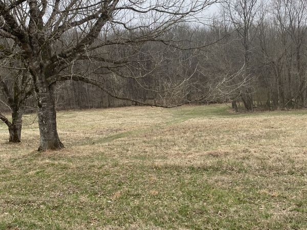 883 Scenic Circle, Pulaski, TN 38478