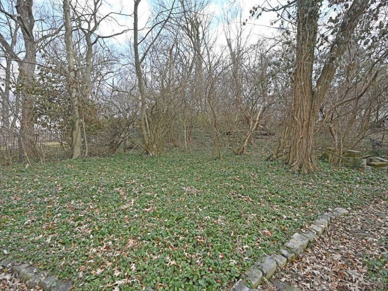 741 Red Bud Avenue, Cincinnati, OH 45229 Photo 49