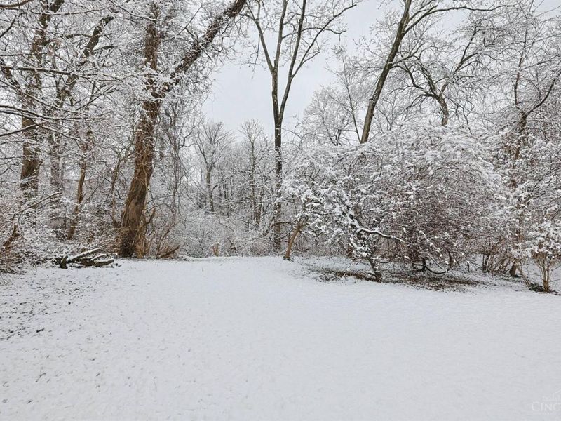 533 Camden Avenue, Cincinnati, OH 45229 Photo 7