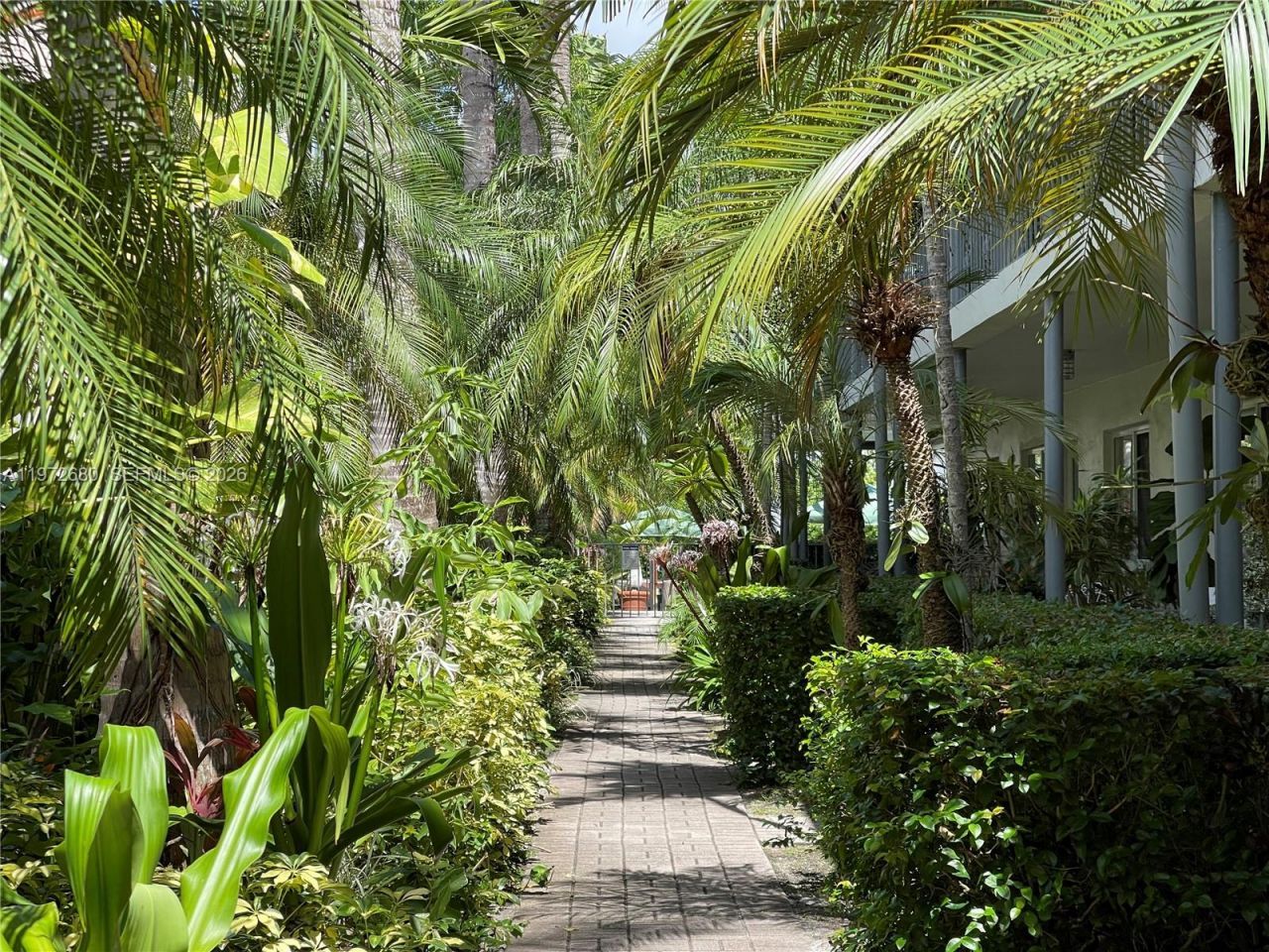 4780 Pine Tree Dr, Unit 8, Miami Beach, FL 33140 Photo