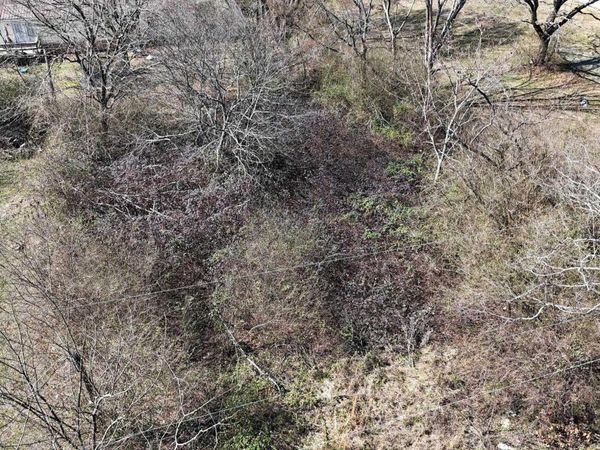 109 West Boundary , Mena, AR 71953