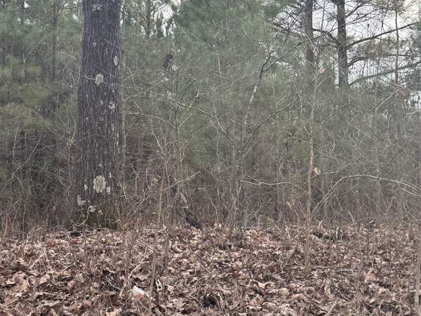 Lot 1 CR 326 , Jonesboro, AR 72401