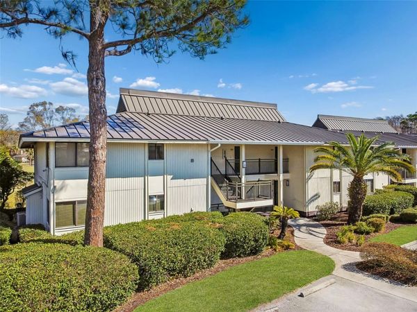 29129 BAY HOLLOW DRIVE, Unit 3202, WESLEY CHAPEL, FL 33543