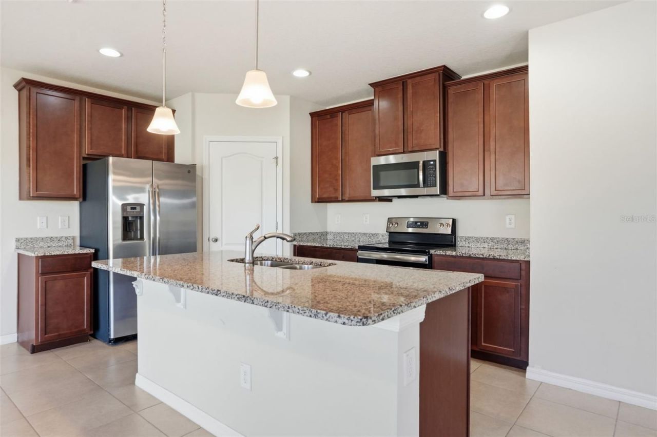 10402 Hawks Landing Drive, Land O Lakes, FL 34638 Photo