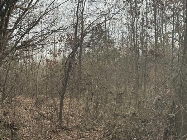Lot 2 CR 326 , Jonesboro, AR 72401