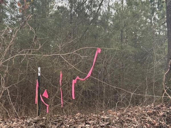 Lot 3 CR 326, Jonesboro, AR 72401