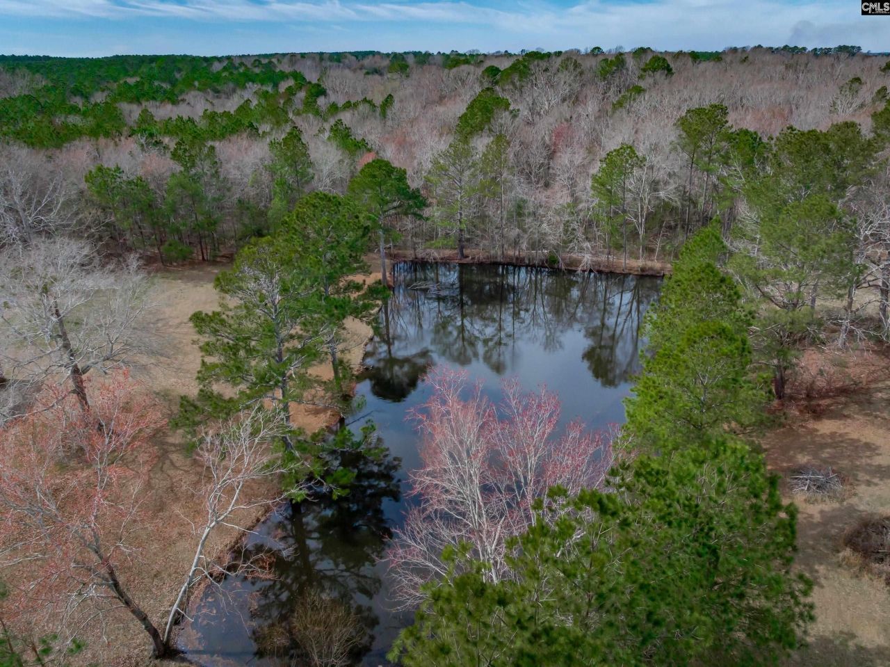 2386 Sardis Road  Photo 5