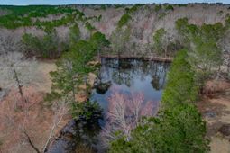 2386 Sardis Road  photo 4