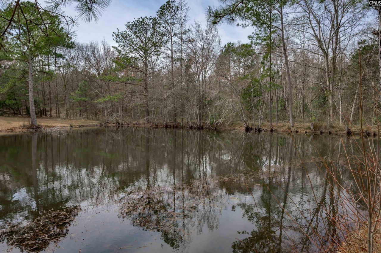 2386 Sardis Road  Photo 7