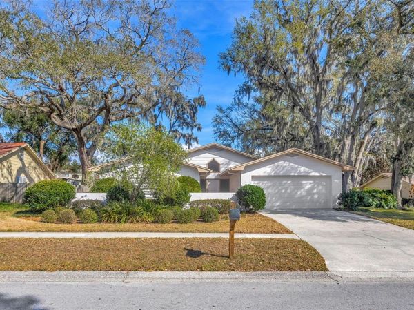 1011 MEADOWCREST DRIVE , VALRICO, FL 33594