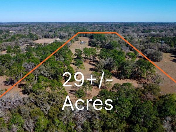 10550 NW 115TH AVENUE , REDDICK, FL 32686