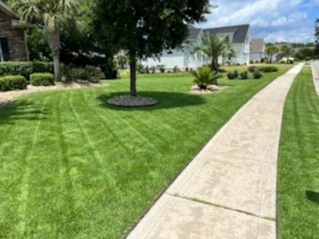 1501 Seabrook Plantation Way Photo 50