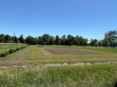 TBD Tripp, Fulda, MN 56131