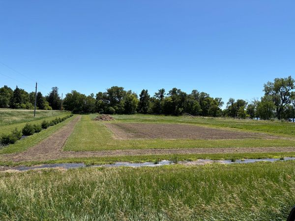 TBD Tripp, Fulda, MN 56131