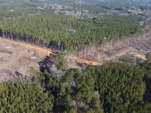 2 Old Pickens Rd, Kosciusko, MS 39090