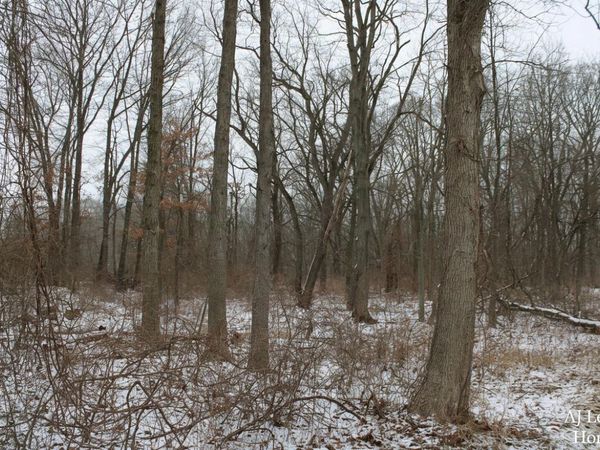 7998 4 Mile Road NE, Ada, MI 49301