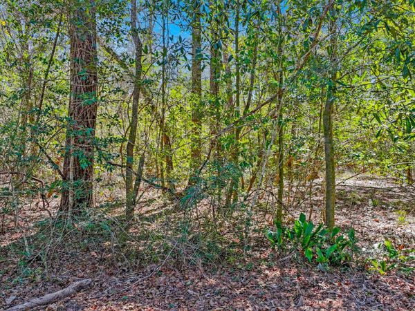 TBD Cedar Log Lake Road, Ponce De Leon, FL 32455