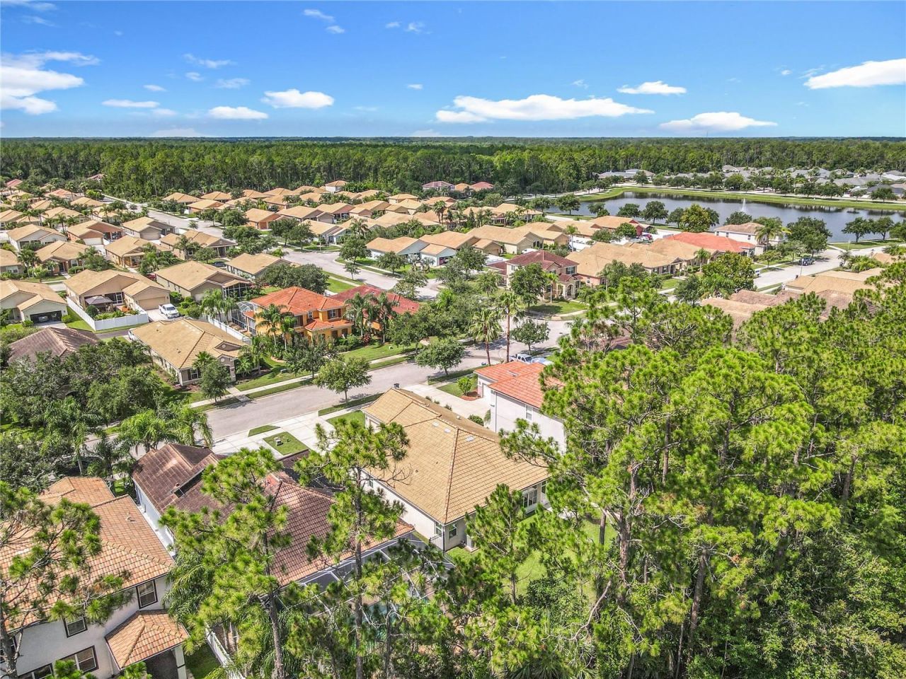 3361 Pegaso Avenue , New Smyrna Beach, FL 32168 Photo