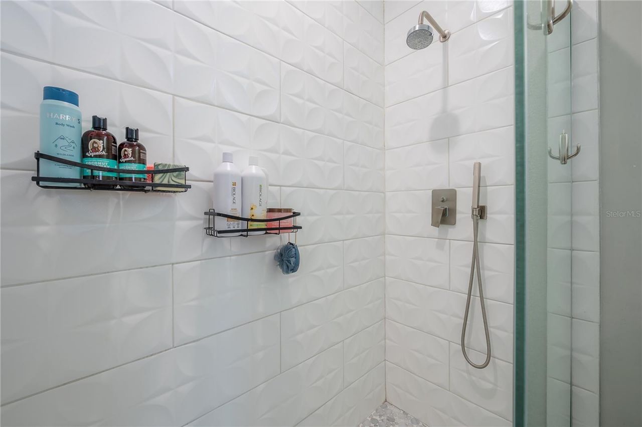 2341 W Chestnut Street, Tampa, FL 33607 Photo