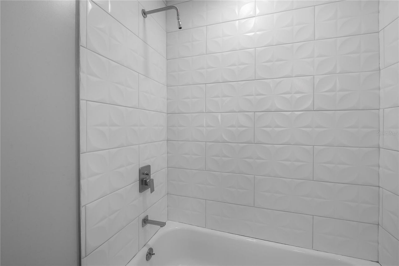 2341 W Chestnut Street, Tampa, FL 33607 Photo