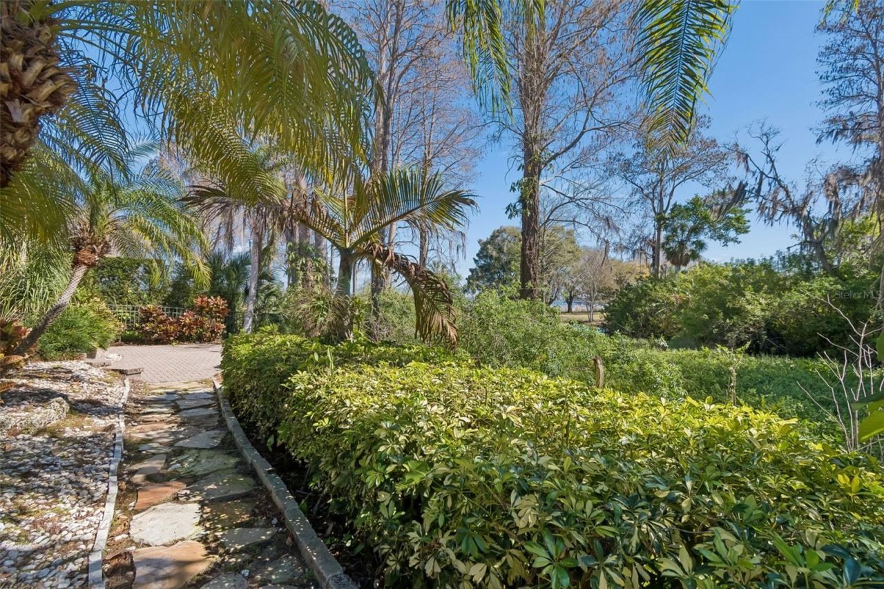 2630 Grand Lakeside Drive, Palm Harbor, FL 34684 Photo