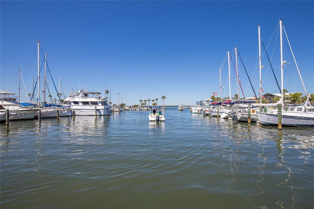 101 Shore Drive, Dunedin, FL 34698 Photo