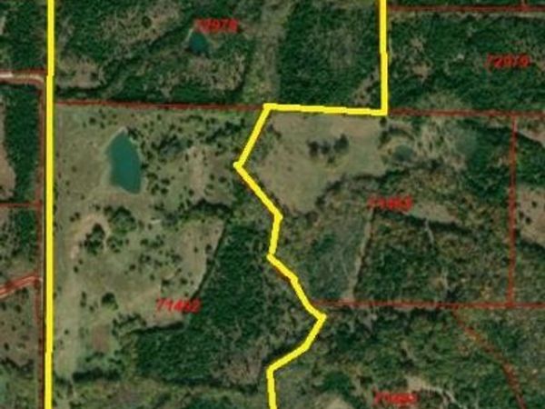 TBD County road 3045, Dodd City, TX 75438