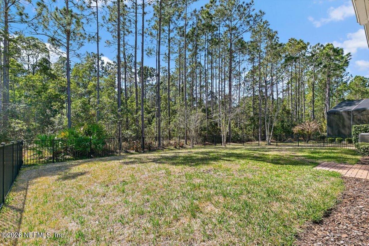 262 Hatter Drive, Jacksonville, FL 32081 Photo
