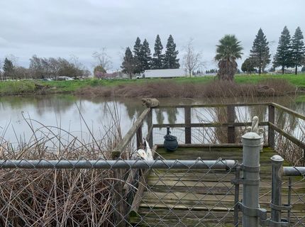3901 Lake Rd #197, West Sacramento, CA 95691 Photo