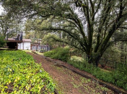 780 Boole Rd, Applegate, CA 95703 Photo