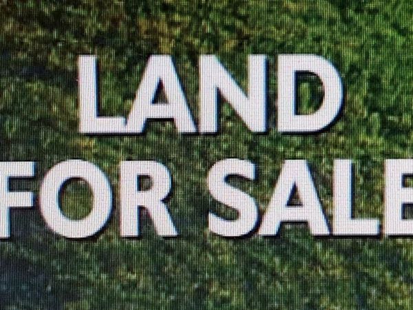 000 Hwy 8, Phil Campbell, AL