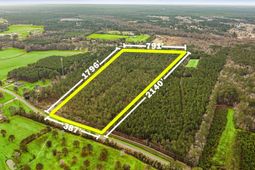 Old Reaves Ferry Rd.  photo 4