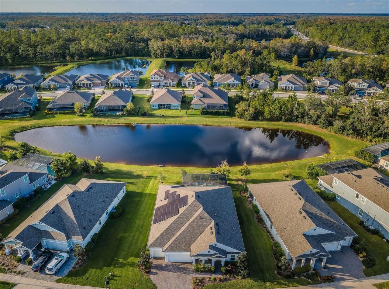 4197 Glade Wood Loop , New Port Richey, FL 34655 Photo