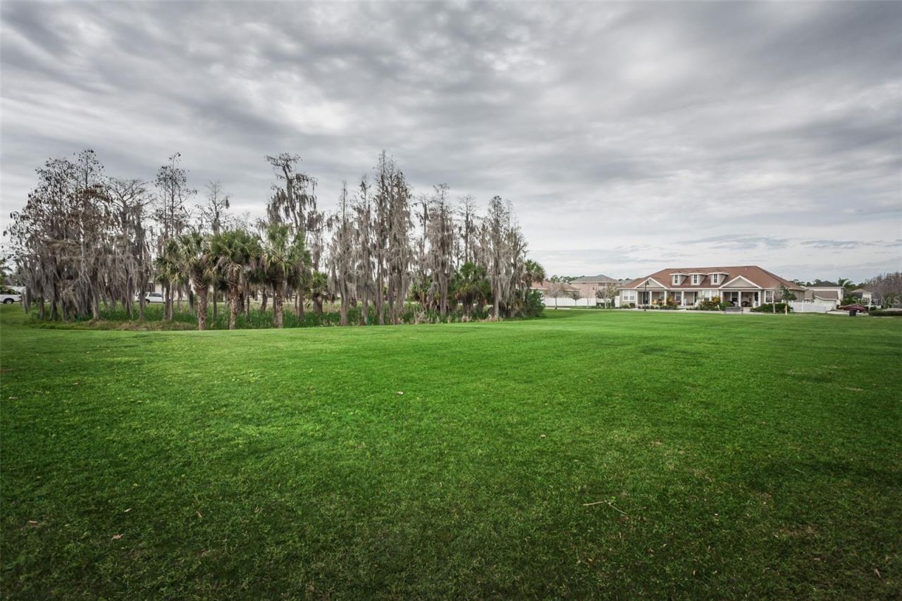 4197 Glade Wood Loop , New Port Richey, FL 34655 Photo