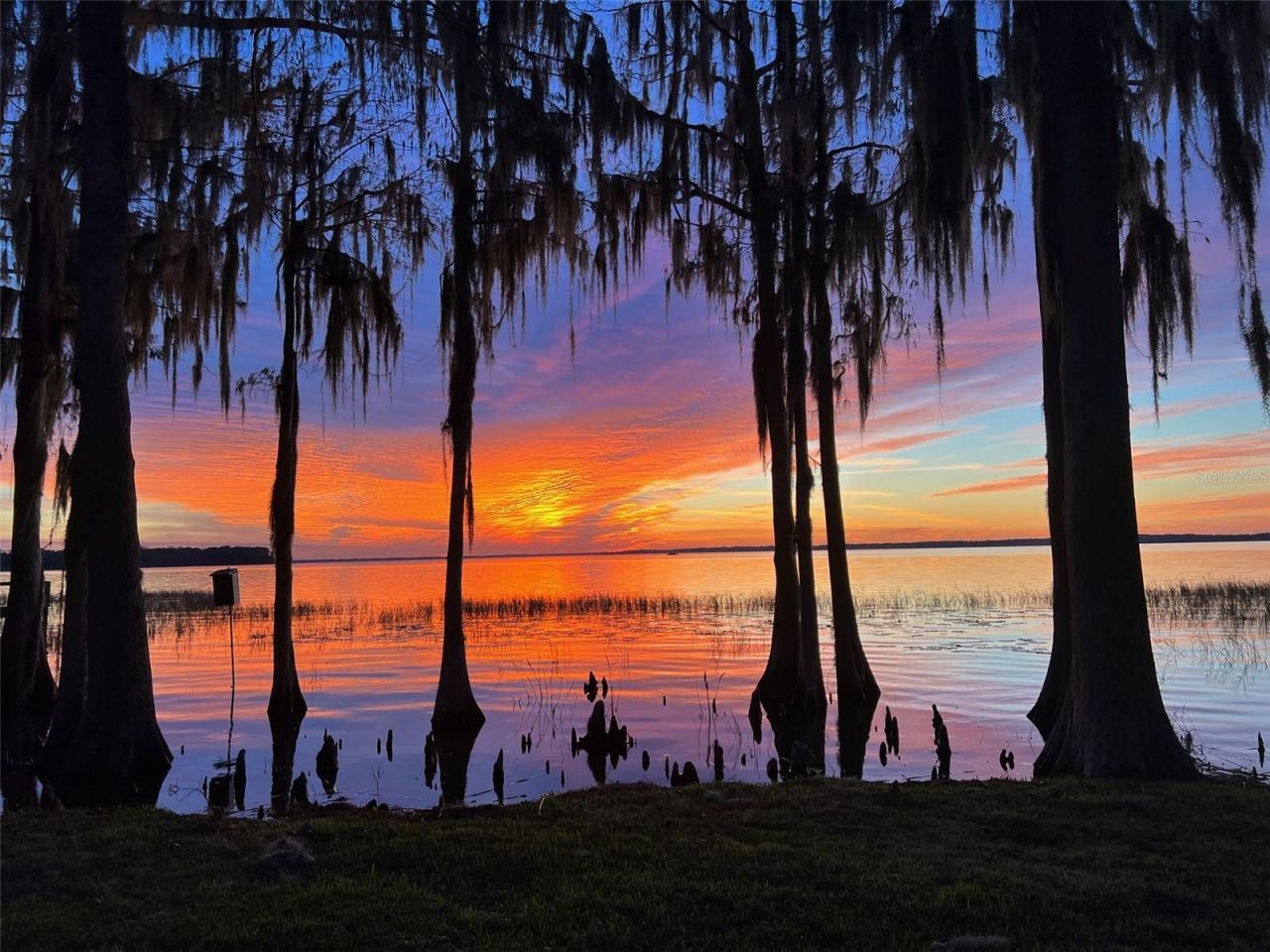 11322 Dead River Road, Tavares, FL 32778 Photo