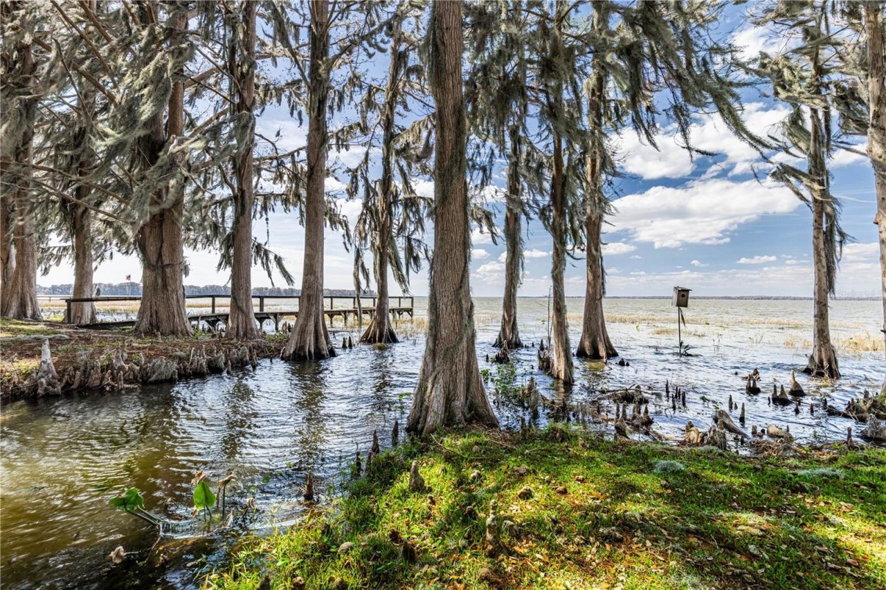 11322 Dead River Road, Tavares, FL 32778 Photo