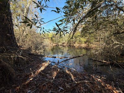 Bff Ii 7 Brunson Teal Rd Road, Patrick, SC 29584