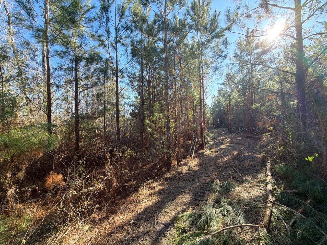 Bff II 7 Brunson Teal Rd Road Photo 11