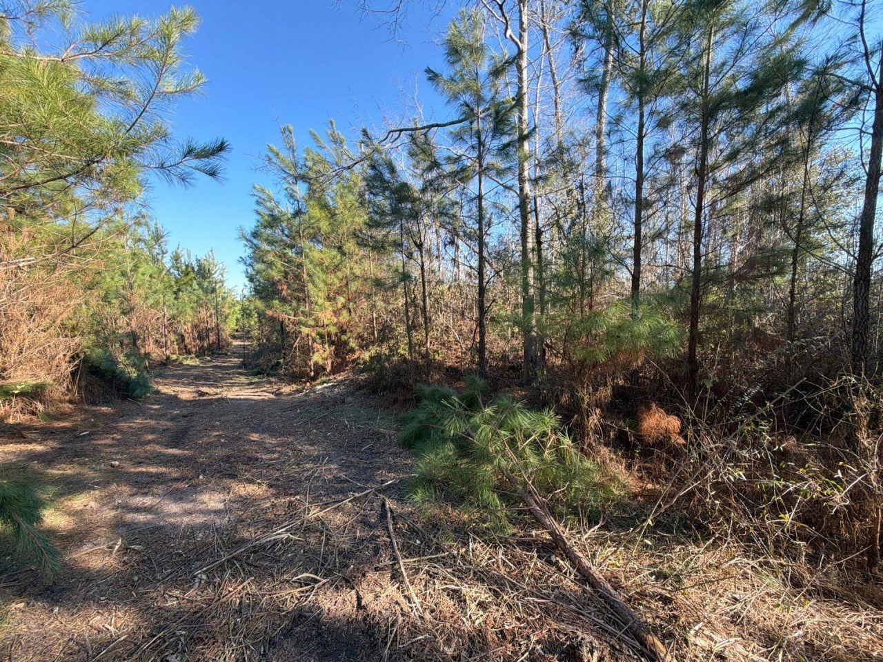 Bff II 7 Brunson Teal Rd Road Photo 12