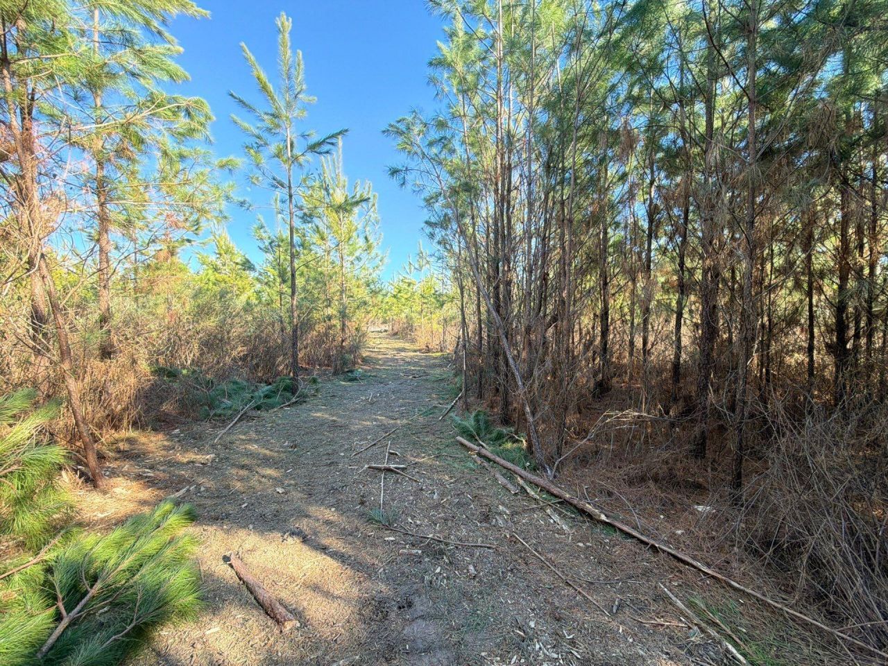 Bff II 7 Brunson Teal Rd Road Photo 14